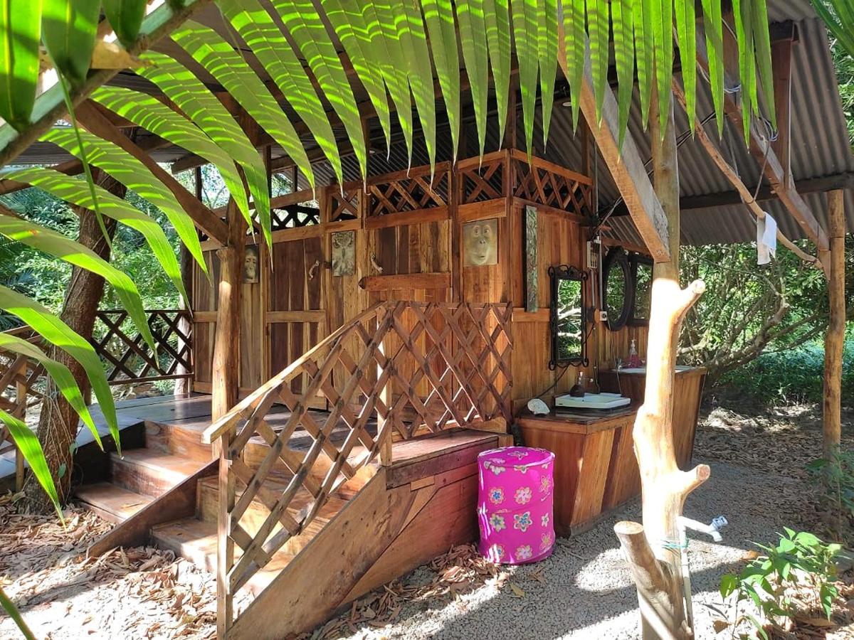 Fully Furnished Family Jungle Tent, Latino Glamping Пакера Екстер'єр фото
