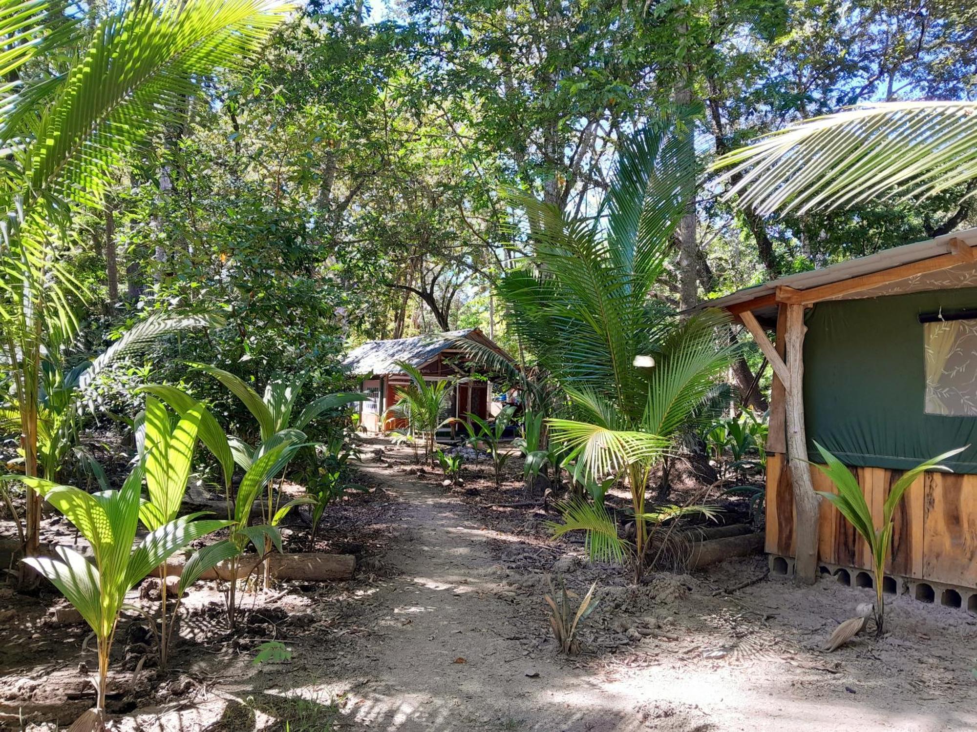 Fully Furnished Family Jungle Tent, Latino Glamping Пакера Екстер'єр фото