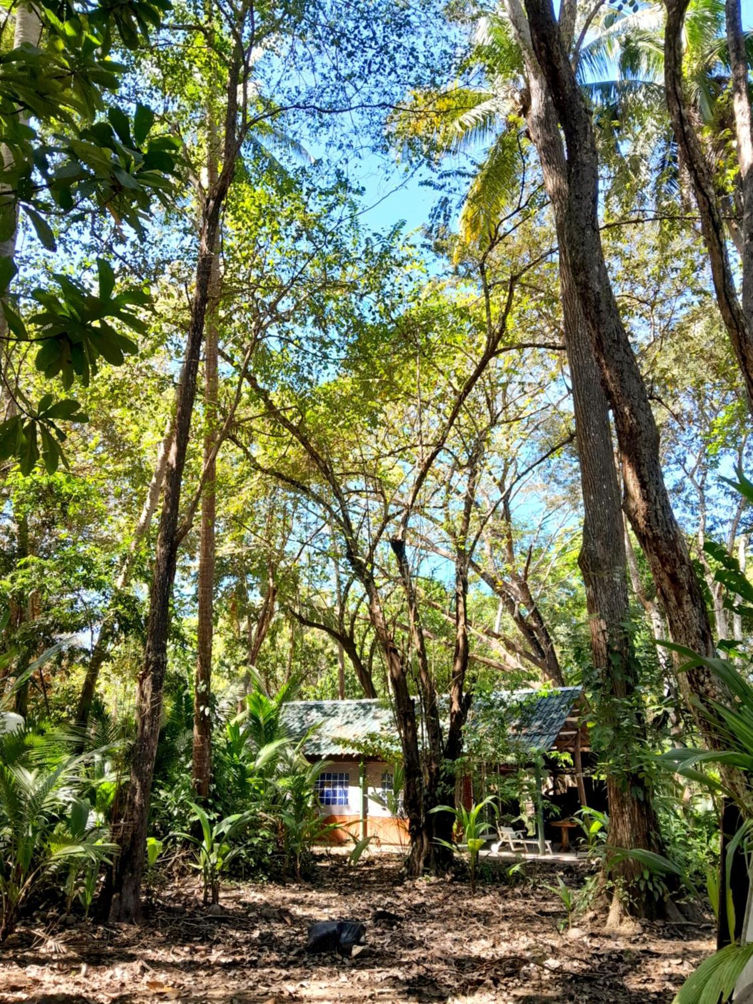 Fully Furnished Family Jungle Tent, Latino Glamping Пакера Екстер'єр фото
