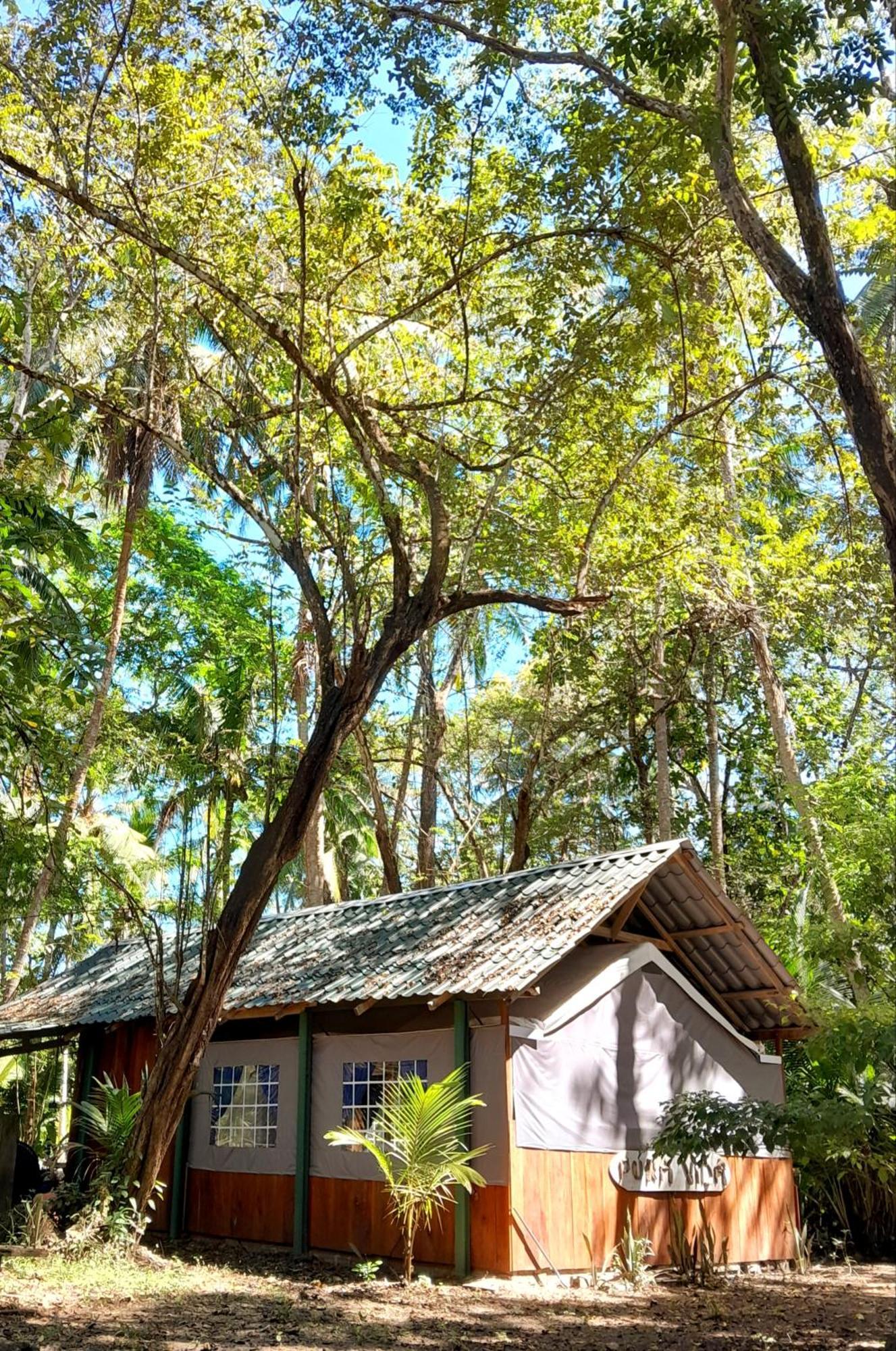 Fully Furnished Family Jungle Tent, Latino Glamping Пакера Екстер'єр фото