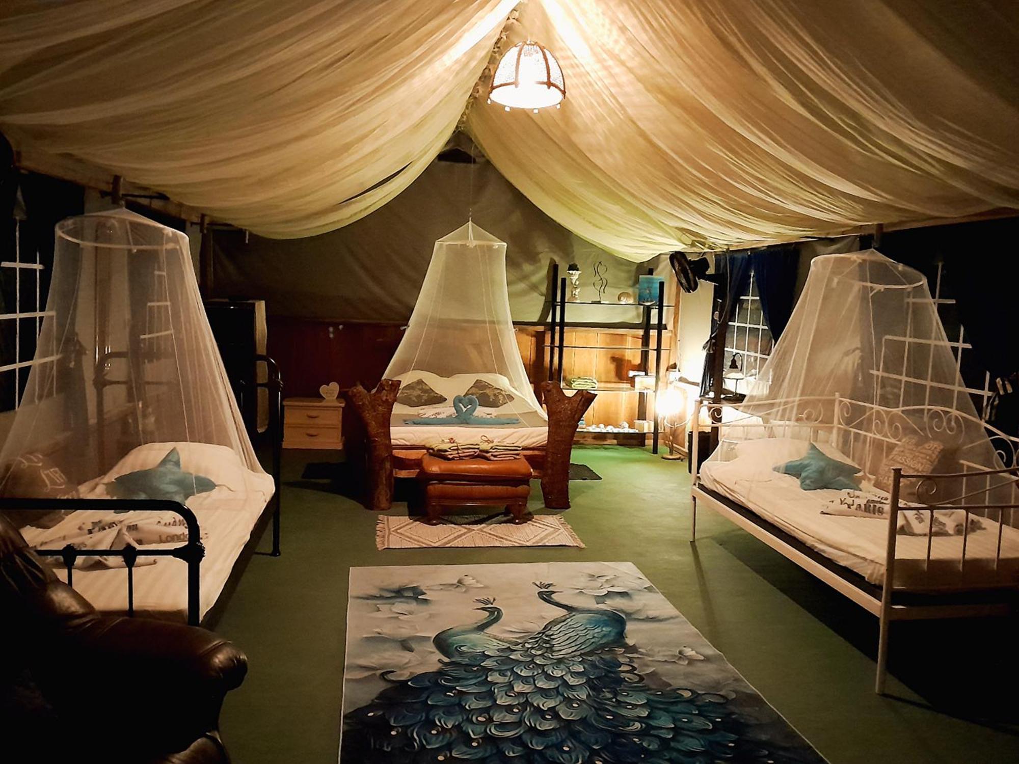 Fully Furnished Family Jungle Tent, Latino Glamping Пакера Екстер'єр фото