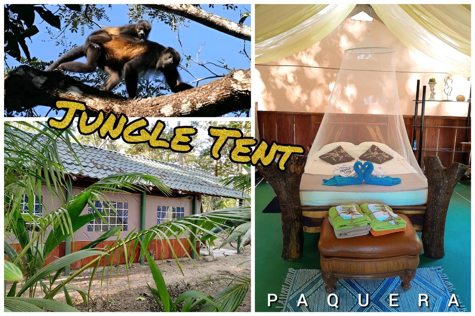 Fully Furnished Family Jungle Tent, Latino Glamping Пакера Екстер'єр фото