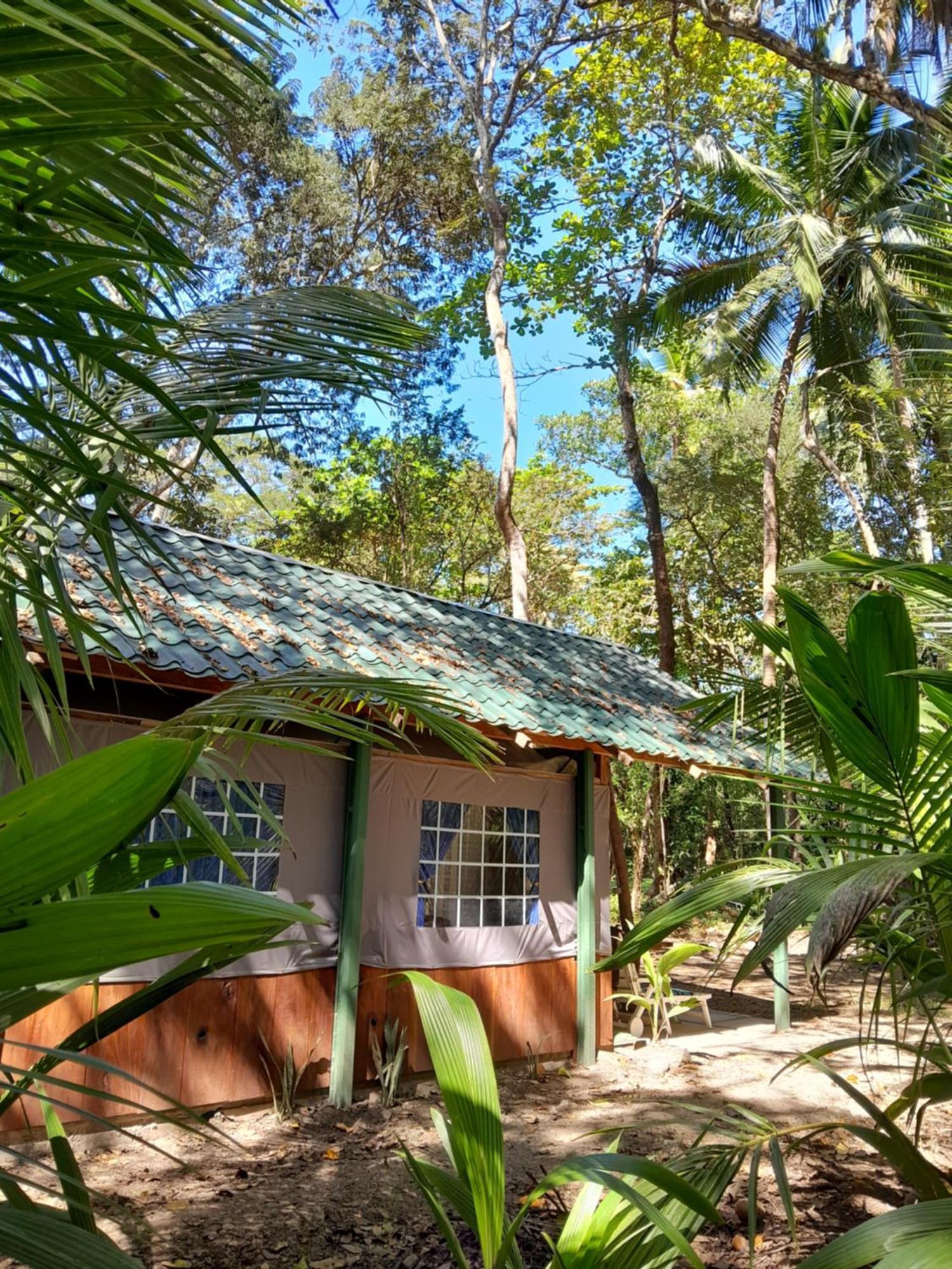Fully Furnished Family Jungle Tent, Latino Glamping Пакера Екстер'єр фото