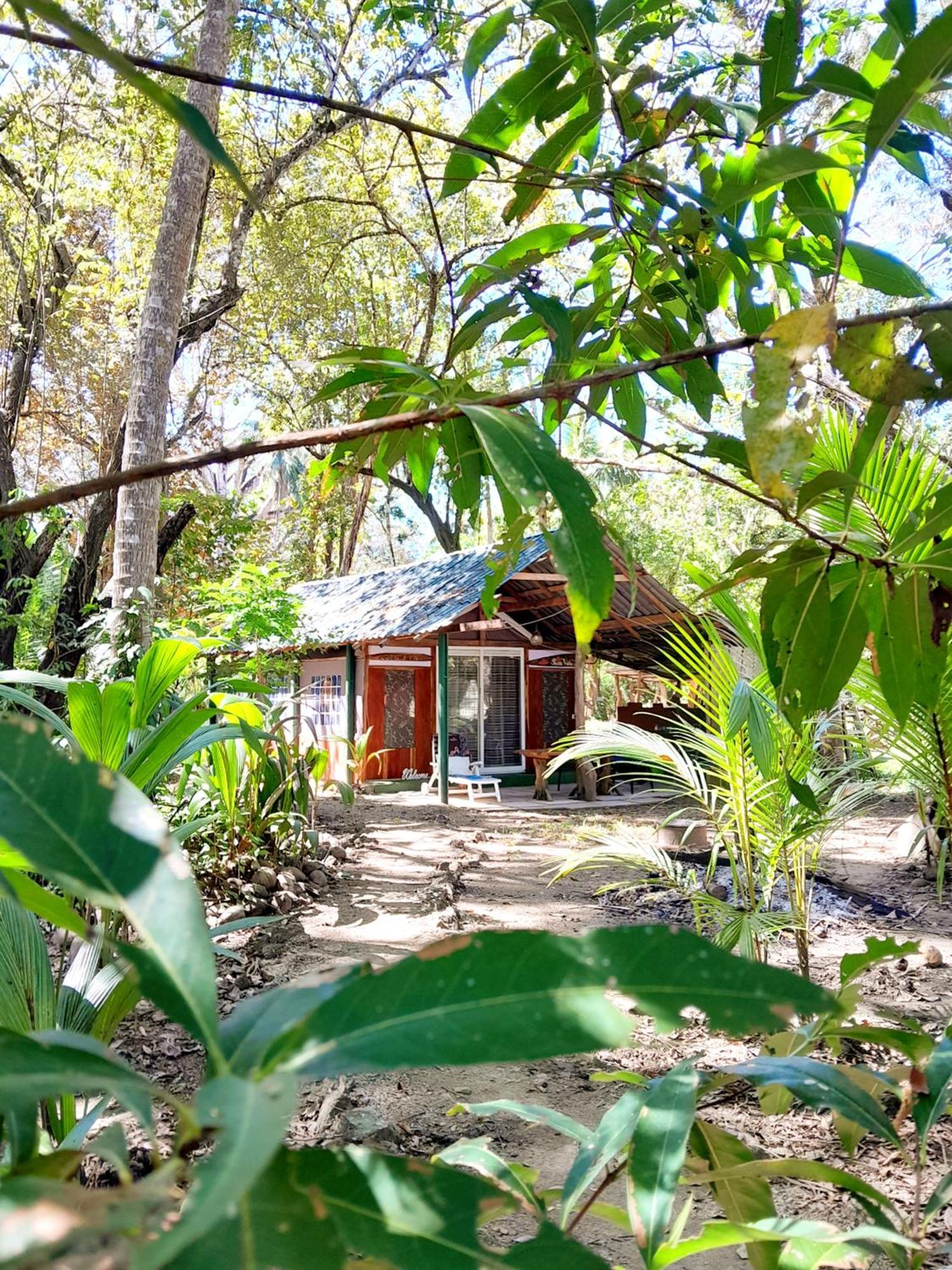 Fully Furnished Family Jungle Tent, Latino Glamping Пакера Екстер'єр фото