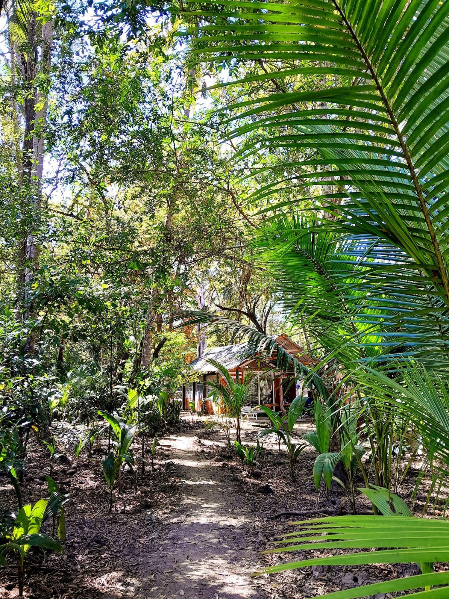 Fully Furnished Family Jungle Tent, Latino Glamping Пакера Екстер'єр фото