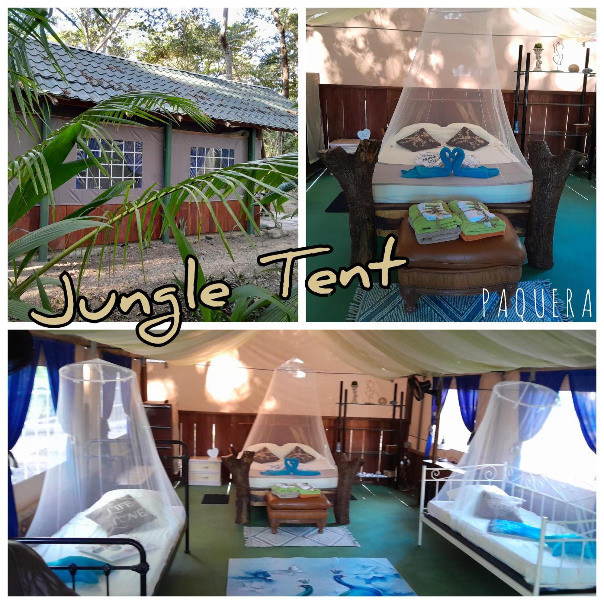 Fully Furnished Family Jungle Tent, Latino Glamping Пакера Екстер'єр фото