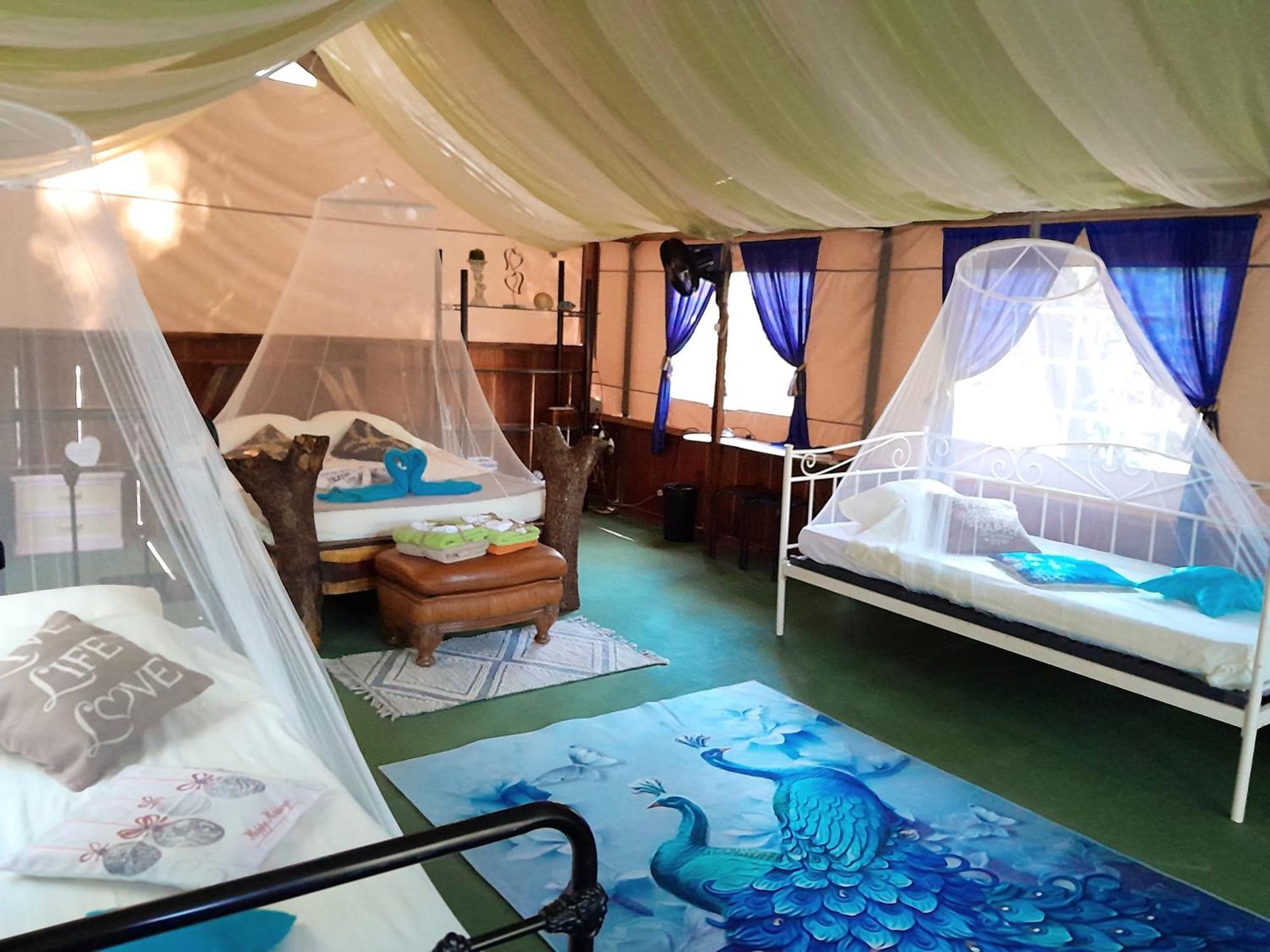 Fully Furnished Family Jungle Tent, Latino Glamping Пакера Екстер'єр фото