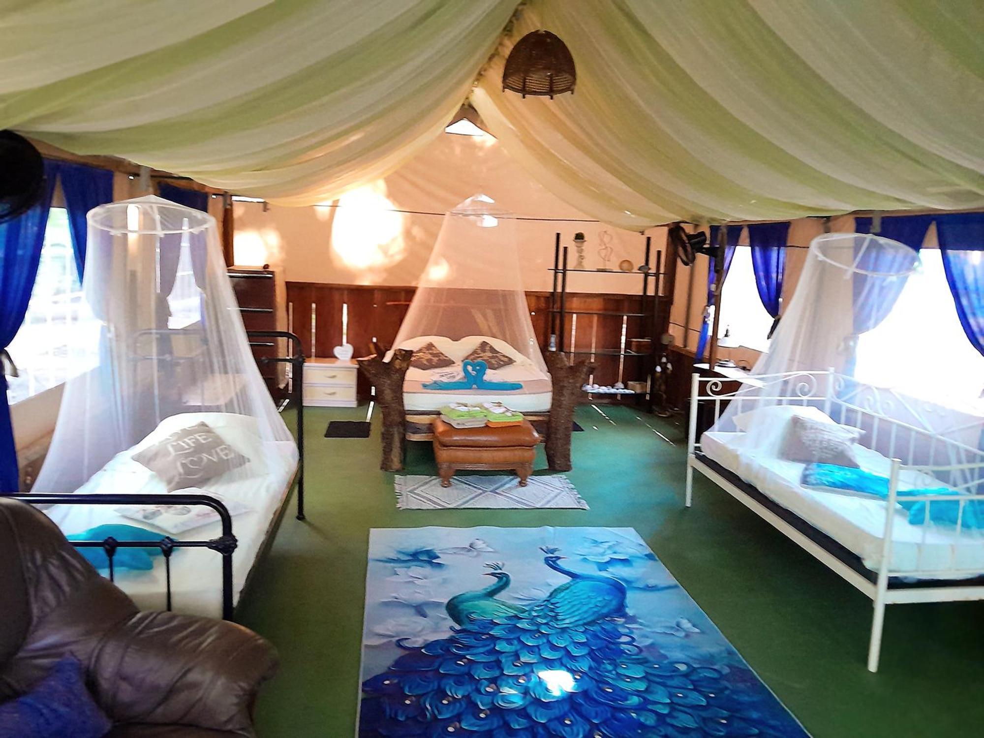 Fully Furnished Family Jungle Tent, Latino Glamping Пакера Екстер'єр фото